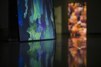 Daniel Canogar: Mirrors, installation view