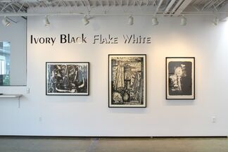 Ivory Black and Flake White, installation view