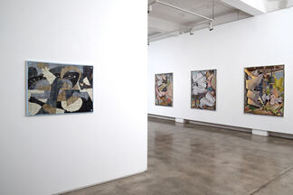 Every Day, installation view