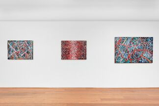 Doug Argue - Transitions, installation view