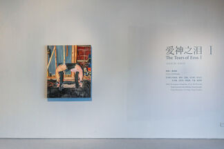 The Tears of Eros I 爱神之泪, installation view