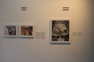 Young Americans, installation view