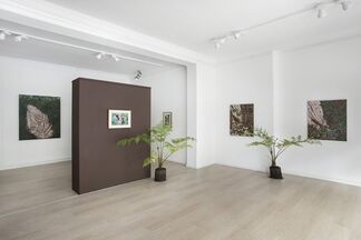 Alone In Spring, installation view