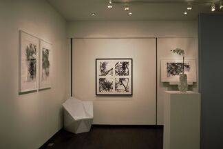 The Arbor Series, installation view