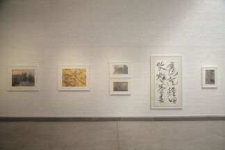 Wesley Tongson: Solo Exhibition In Beijing, installation view