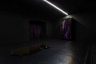 "Your Only Chance to Survive is to Leave with Us" - Mishka Henner, installation view