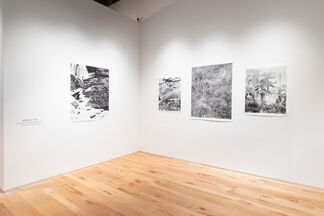 Polemics of the Landscape, installation view