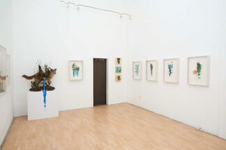 Gregory Euclide: "Preservation Paradox", installation view