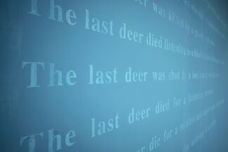 A TALEBEARER’S TALE : The Last Deer, installation view