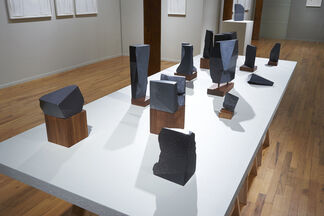 Gustavo Bonevardi: Fictions, installation view