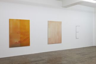 Philipp Roessle - And the peaches and the mangos, installation view