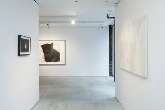 January Show, installation view