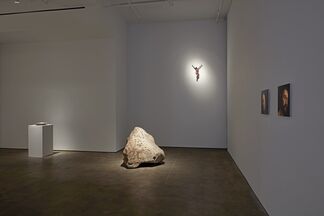 Kris Martin: ?DO GEESE SEE GOD?, installation view