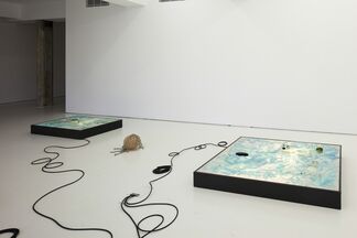 Tuomas A. Laitinen: A Porous Share, installation view