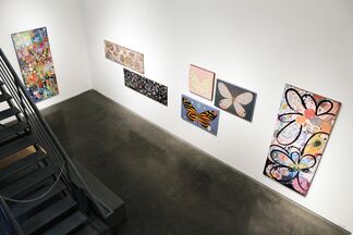 Colleen Philippi - "Butterfly Effect", installation view