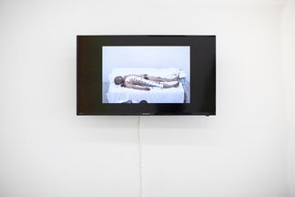 Force Majeure, installation view