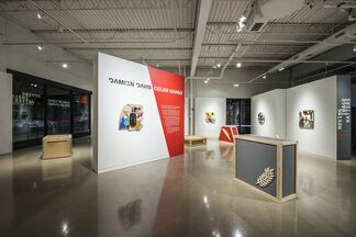 Damien Davis: Color Cargo presented by The Center for Art in Wood, installation view