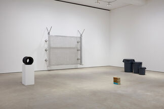 Fences and Windows, installation view