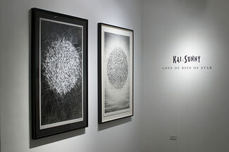 Kai & Sunny, Lots of Bits of Star, installation view