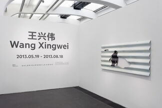 Wang Xingwei, installation view