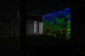 Afterimage: Frank Lepkowski Solo Exhibition, installation view