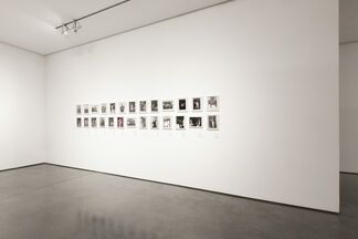 TOTAL EXCESS, installation view