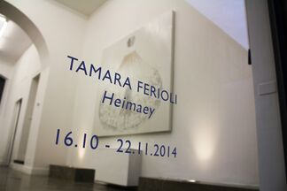 Tamara Ferioli: HEIMAEY, installation view