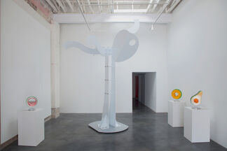 Jorge Blanco: Solo Blanco, installation view