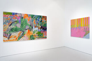 What There Looks Like, installation view