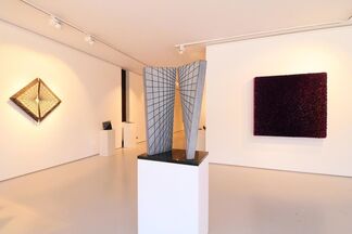 Showcase Martin Hollebecq, installation view