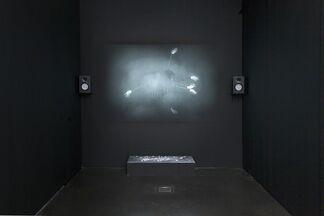 Anna Zaradny | Theurgy Two, installation view