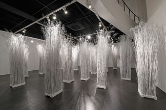 Lee Kang-So : Disappearance, installation view