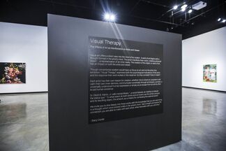 Visual Therapy : The Effects of Art as Manifestation on Artist and Viewer, installation view