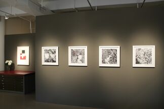 The Print, installation view
