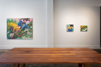 PICNIC AT SUNSET | new works by Ashley Norwood Cooper, installation view