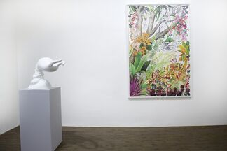 Mysteries of the Organism, installation view