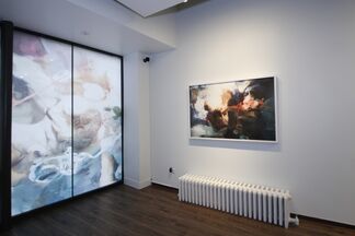 Christy Lee Rogers: A Quarter of a Million Miles, installation view