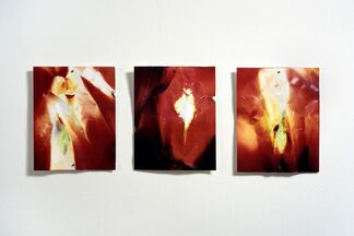 As The Cosmos Unfolds, installation view