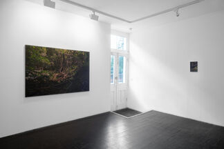 Hannah Brown: Before Long, installation view