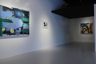 Inherited Memories: Dreams from before I was born, installation view