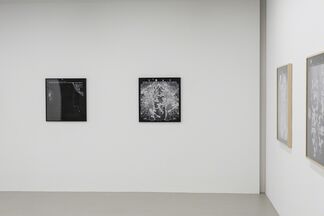 Yuki Yamazaki, New Order, installation view