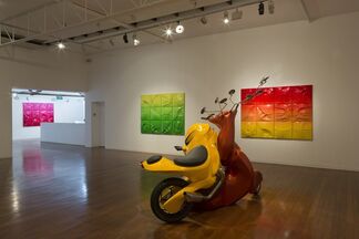 The Struggle and the Dawn, installation view