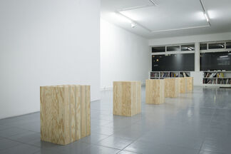 Fabrice Gygi, installation view