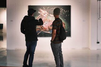 Nychos: Two to Look - One to See, installation view