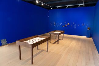 Claude Lalanne: Bijoux, installation view
