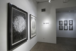 Kai & Sunny, Lots of Bits of Star, installation view