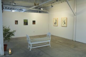 Psyche's Knot, installation view