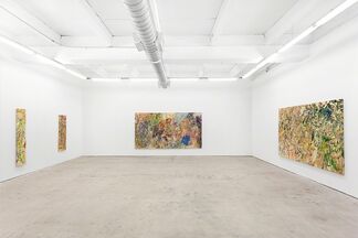 Larry Poons, installation view