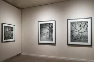 Michael Masaaia-Deep in a Dream, Central Park, installation view
