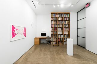 Noriko Ambe: Parallel World, installation view